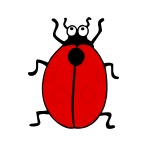 coccinelle