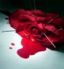 couleur rouge