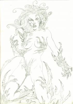 dessin