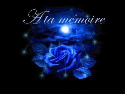  maman